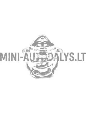 Termostats Aixam Kubota