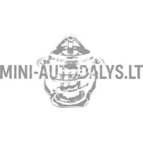 Termostats Aixam Kubota