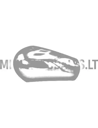 Sānu spoguļa vāciņš Microcar / Ligier / Casalini / Chat | Mini Auto Parts