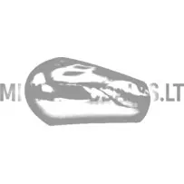 Sānu spoguļa vāciņš Microcar / Ligier / Casalini / Chat | Mini Auto Parts