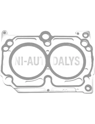 Cilindra galvas blīve Lombardini 502 Progress 2 robiņas / caurumi