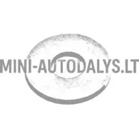 Blīvgredzena stiprinājuma skrūve bakvariem Aixam / Grecav