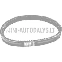 Piedziņas siksna 043 Eco BD52-2183