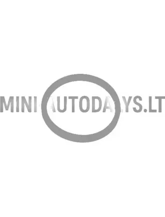 Putekļu blīvslēgs bremžu suporta virzulis priekšā Microcar / Ligier