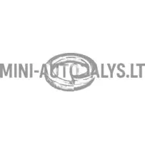 Gredzena stiprinājuma skrūve variatora pārnesumkārba Aixam