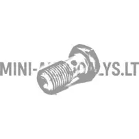 Banjo skrūve bremžu šļūtenei (M10x100)