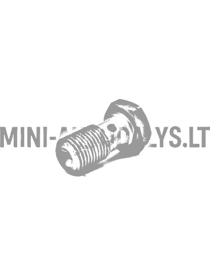 Banjo skrūve bremžu šļūtenei (M10x100)