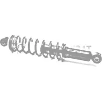 Aizmugurējais amortizators Ligier IXO #15703 | Mini Auto Parts
