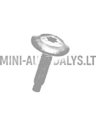 Montāžas skrūve M6x25 Ligier / Microcar / Due