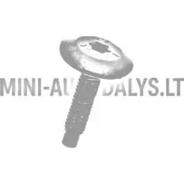 Montāžas skrūve M6x25 Ligier / Microcar / Due