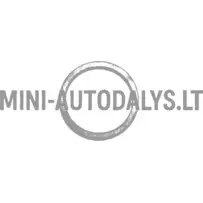 Temperatūras sensora blīvgredzens radiatoram Microcar / Ligier