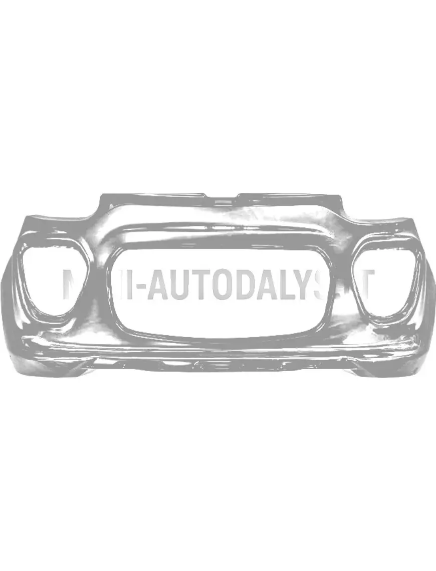 Priekšējais buferis Microcar MGO6 / Dué 6 #15773 | Mini Auto Parts
