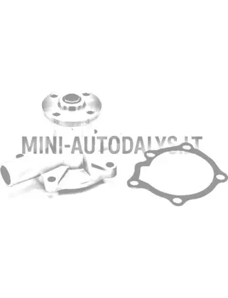 Ūdens sūknis Aixam Kubota Z402 (1. modelis)