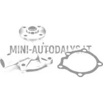 Ūdens sūknis Aixam Kubota Z402 (1. modelis)