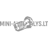 Banjo skrūve 10x125 riteņu bremžu cilindrs