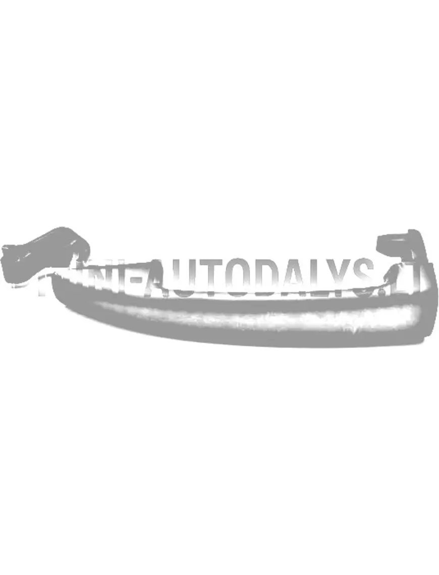 Ārējo durvju rokturis Ligier / Chatenet