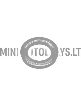 Kloķvārpstas blīvslēgs sadales pusē Lombardini 502 FOCS / Progress