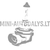 Atpakaļgaitas lukturis H11