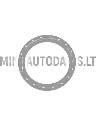 Kloķvārpstas blīvslēgs spararata pusē Lombardini 502 FOCS / Progress