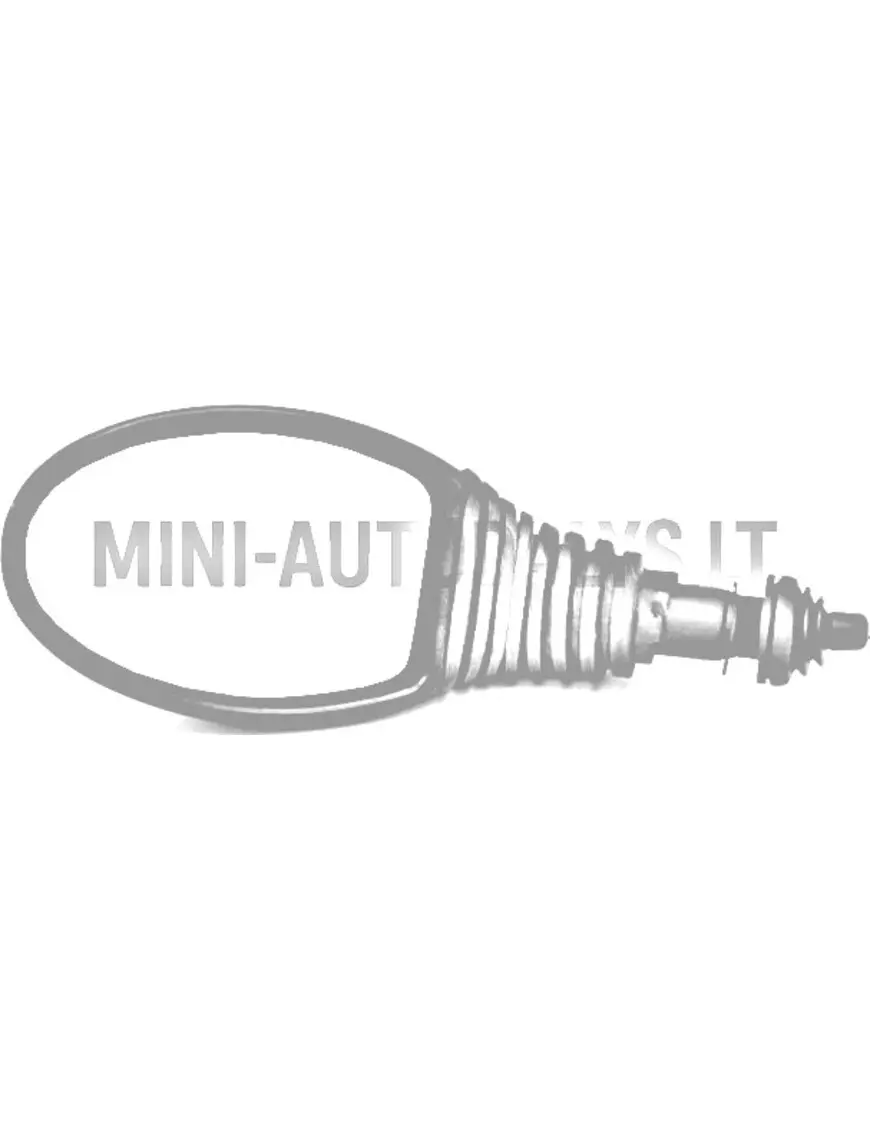 Ārējais spogulis kreisajā pusē Microcar / Ligier / Casalini / Chatenet