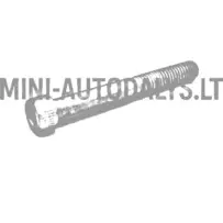 Bremžu suporta skrūve Aixam 1997-2012