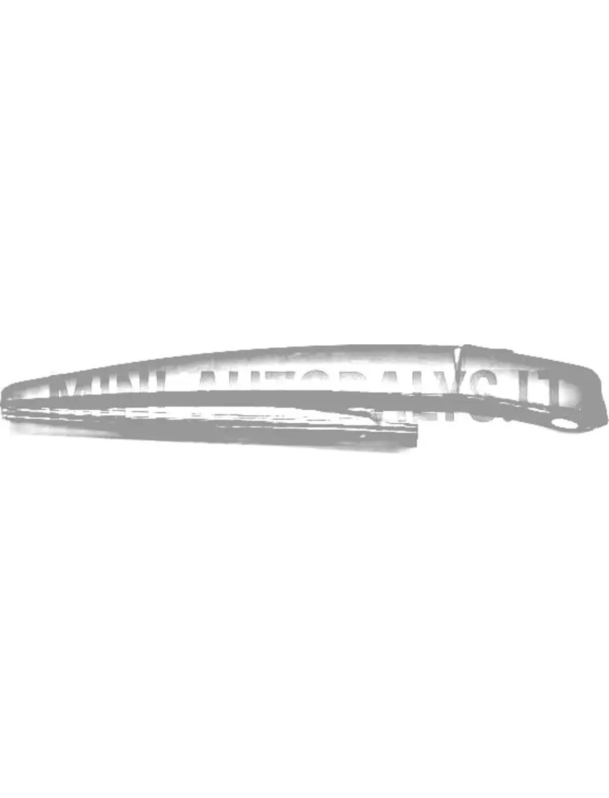 Tīrītājs + aizmugurējais tīrītājs Microcar / Ligier / JDM