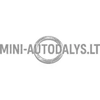 Blīvgredzens Lombardini FOCS / Progress / DCI eļļas izlaišanas korķim