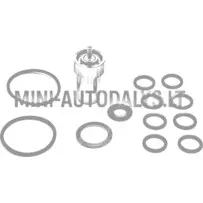 Inžektors Lombardini 502 FOCS / Progress