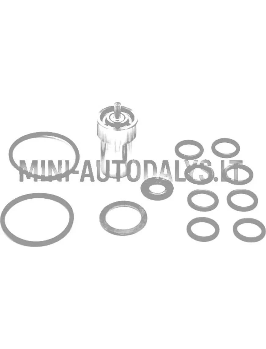 Inžektors Lombardini 502 FOCS / Progress