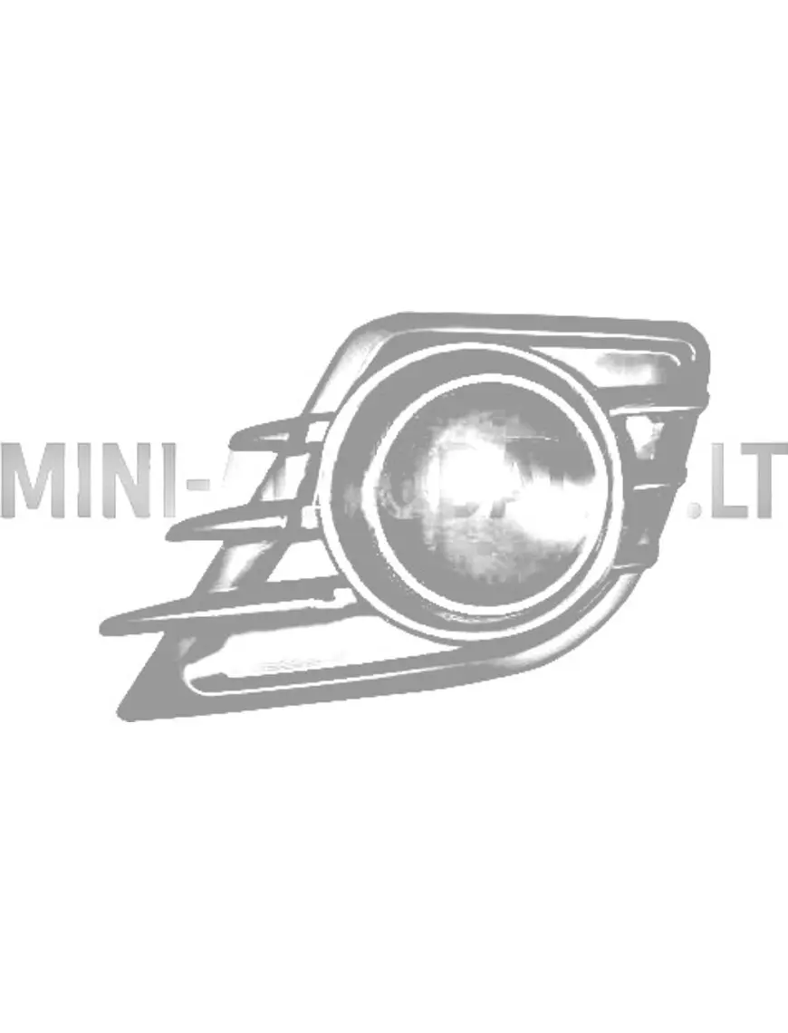 Aixam 2010-2013 kreisās puses priekšējā bampera miglas luktura režģis