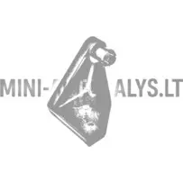 Pārsega eņģe labajā pusē Aixam 1997-2012