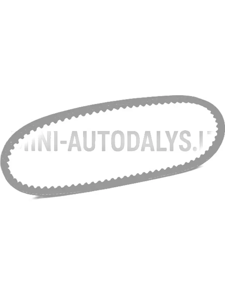 V veida siksna Microcar / Grecav / Ligier (10x617 mm)