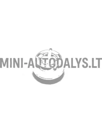 Aixam 2008-2010 sildītāja rokturis (Chrome)