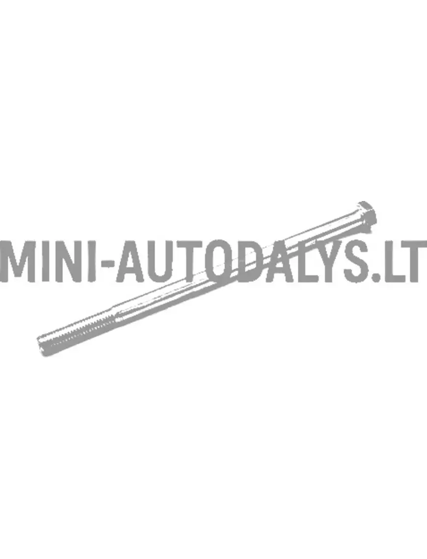 Skrūve variatora dzinēja pusē Aixam (8x160)