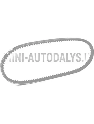 V veida siksna Ligier X-Too S / R / RS (10x685 mm)