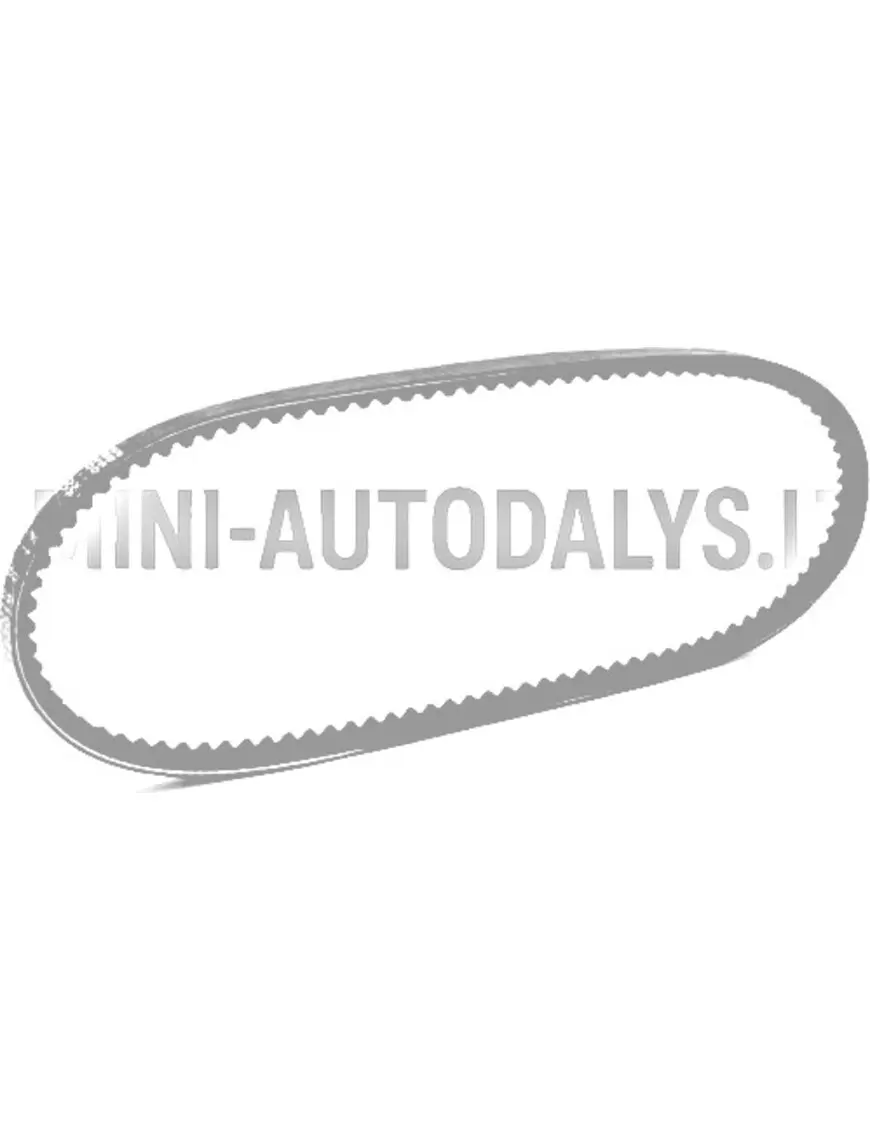 V veida siksna Ligier X-Too S / R / RS (10x685 mm)