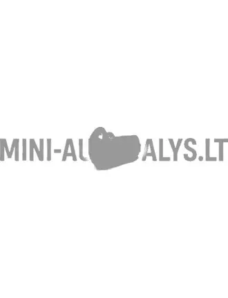 Kniežu / izlecošo kniežu stiprinājums 6 mm Microcar / Ligier