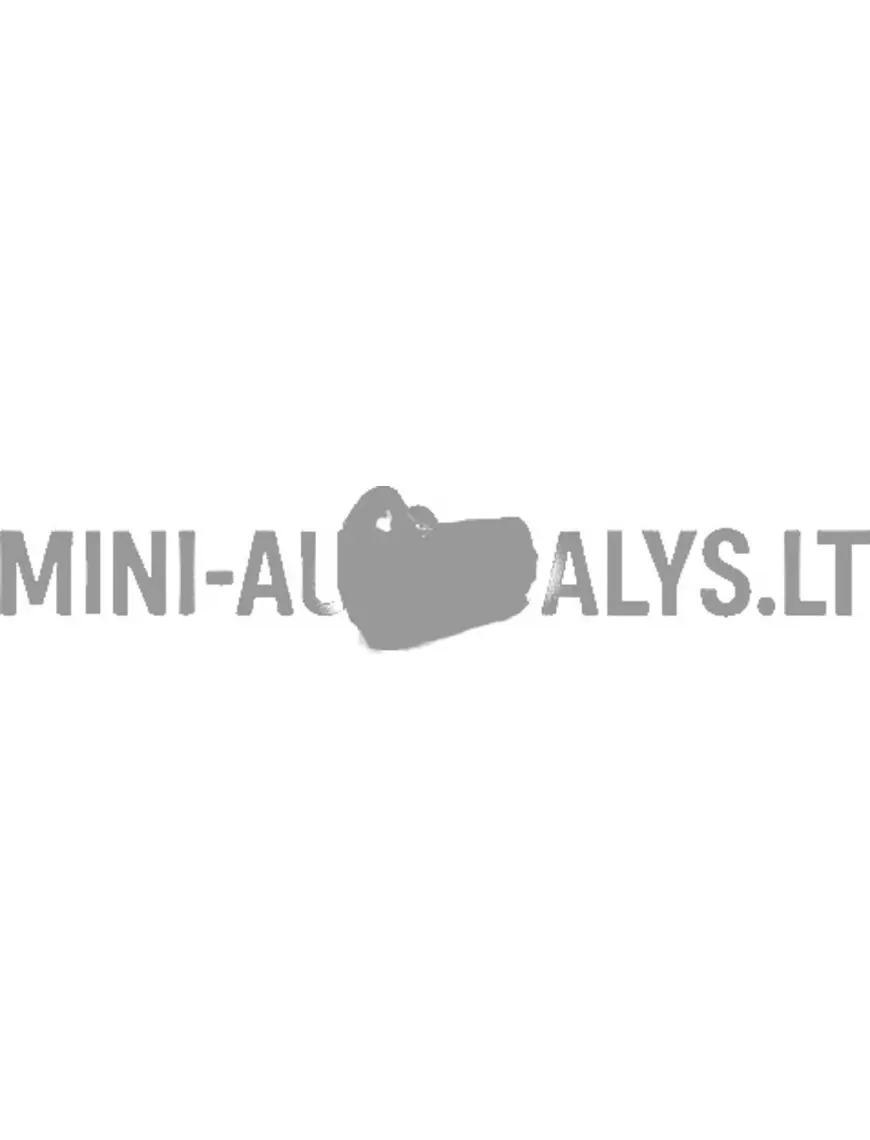 Kniežu / izlecošo kniežu stiprinājums 6 mm Microcar / Ligier